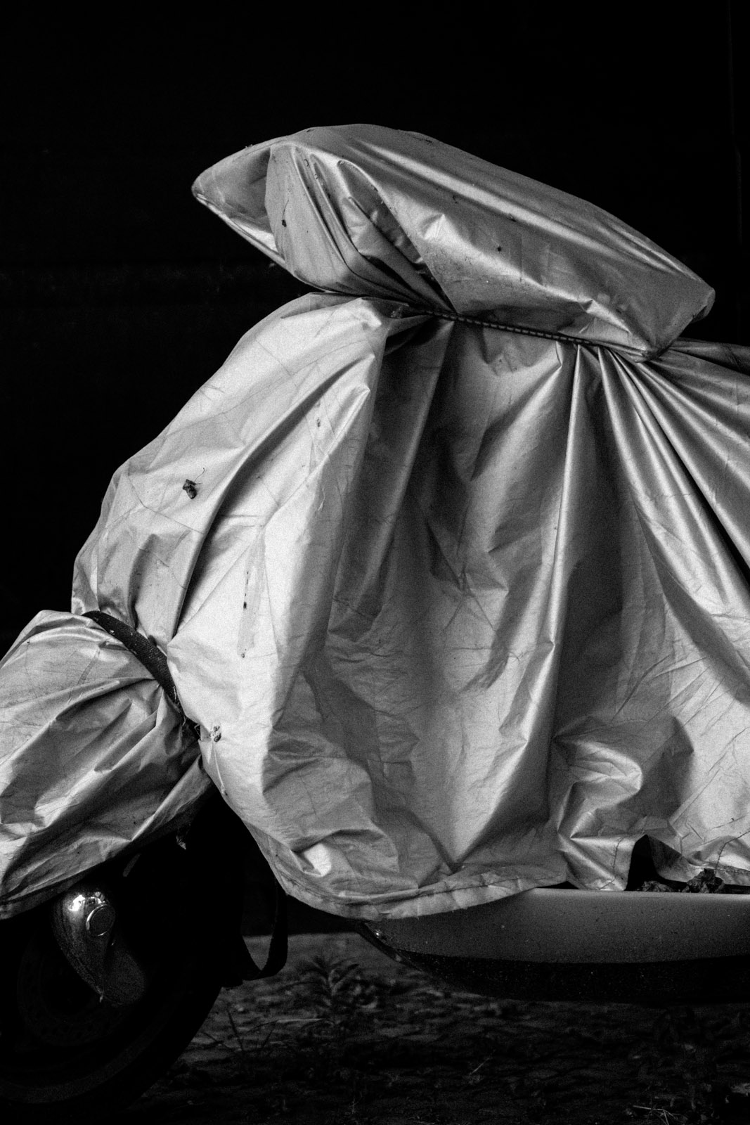veiled