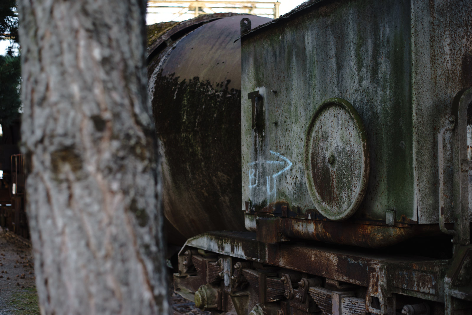 mossy rust