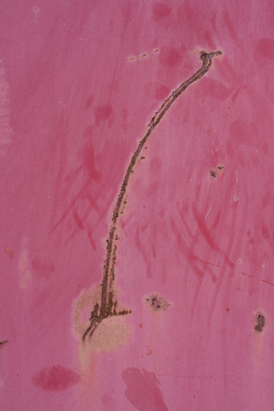 P7062993