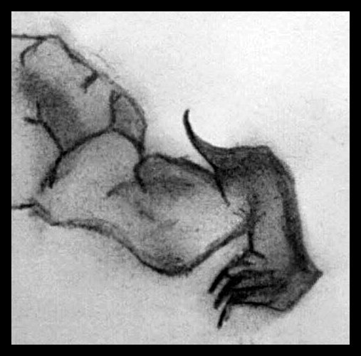 Rear Leg 2 Copyright © 030715 by Karen Payze