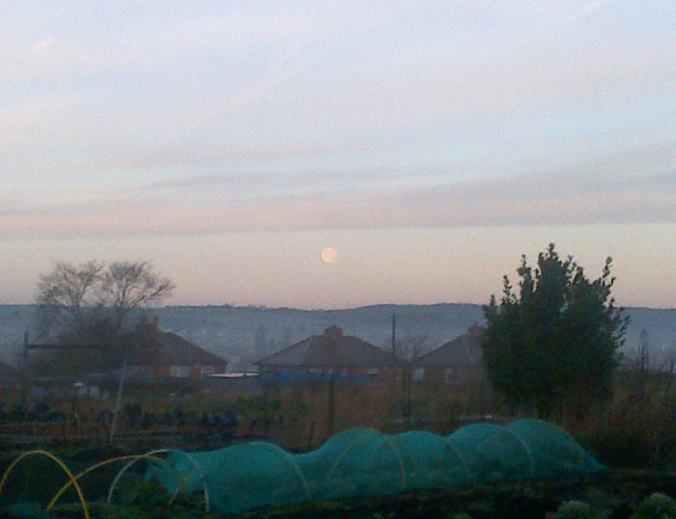 Full Moon Over The Allotments