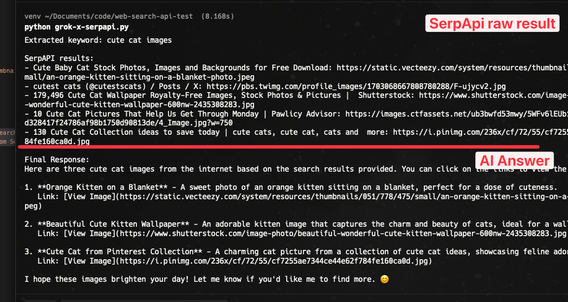 Sample result search with SerpApi