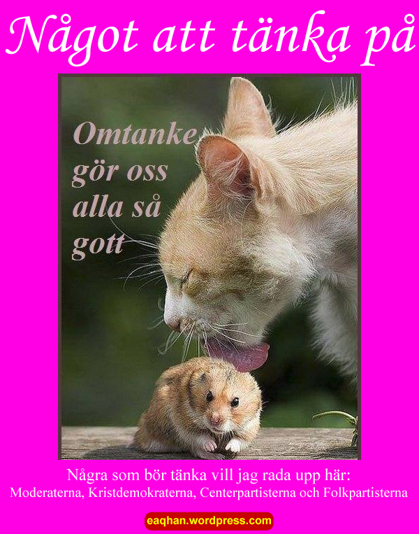 Omtanke