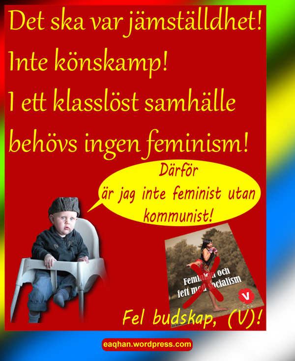 V o feminism