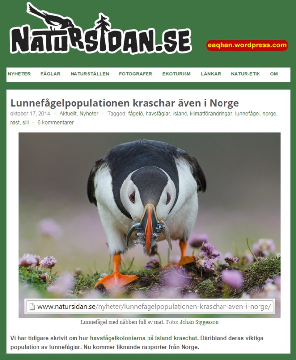 Natursidan Lunnefågeln