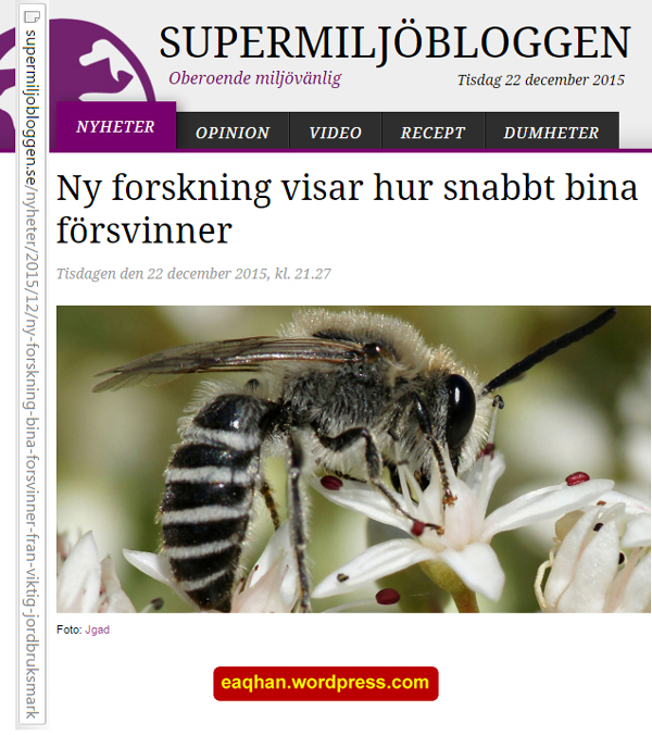 Bi försvinner