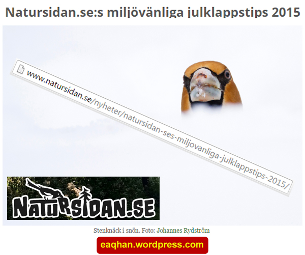 Julklappar