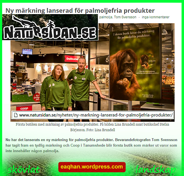 Palmolja 2