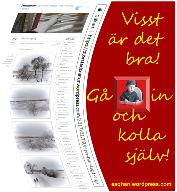 Storstadsnatur.jpg