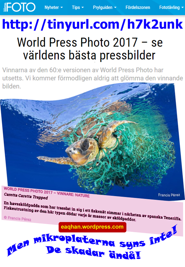 Plastkontaminering.jpg