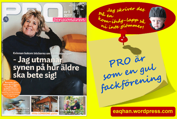 PRO - GUL.jpg
