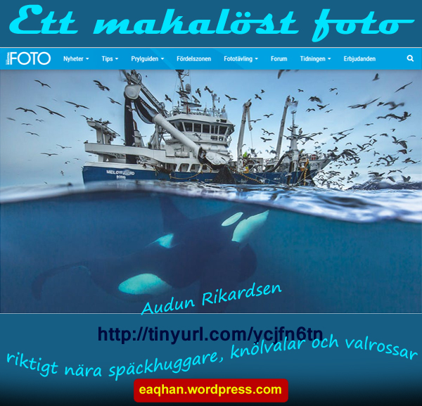 Foto 2.jpg