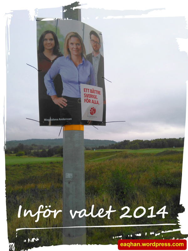 Valaffisch 2014.jpg