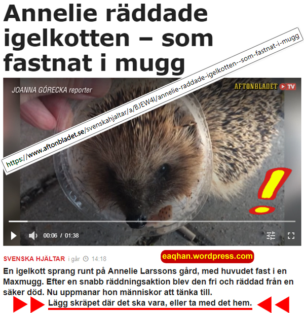 Skräp + igelkott.jpg
