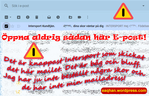 Nätbedragare.jpg