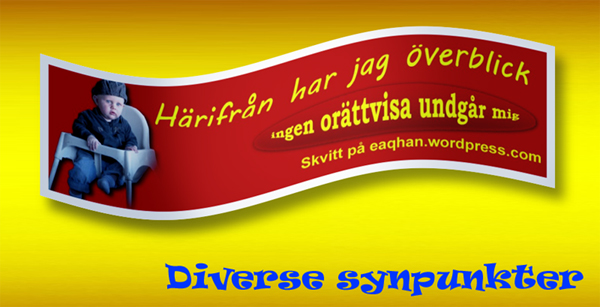 Diverse synpunkter.jpg