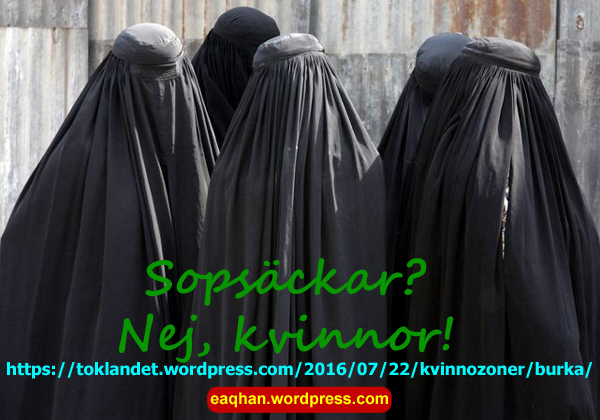 Burka 2