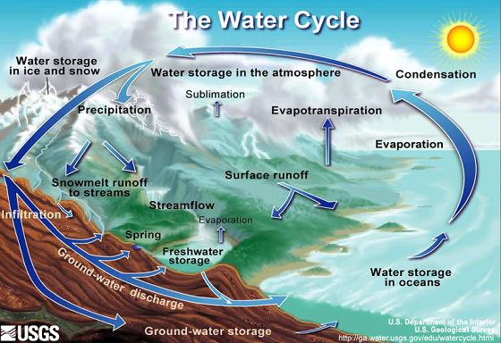 water-cycle-r.jpg