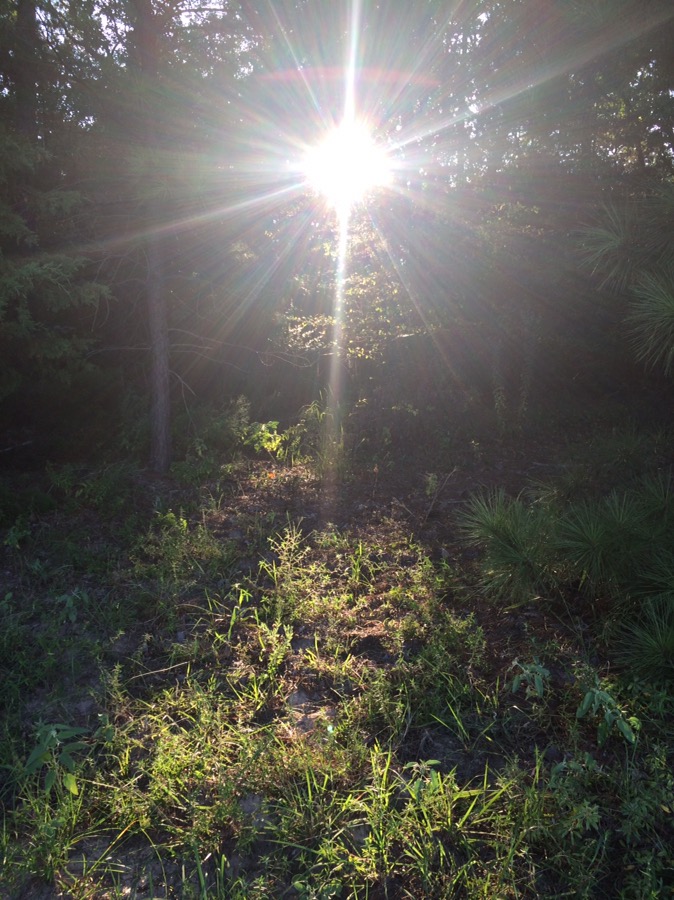See the light