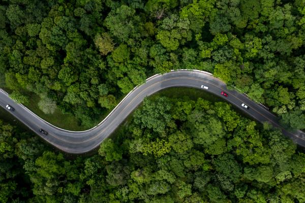 Aerial view green forest with car on the asphalt road, Car drive on the road in the middle of forest trees, Forest road going through forest with car.
