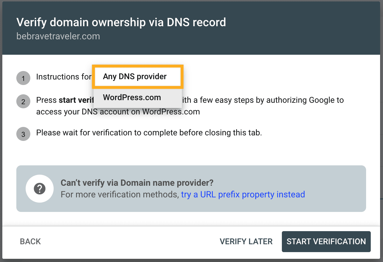 Any DNS provider is highlighted.