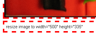 greasemonkey-imagewidth-sample.png