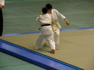 Ray at 2008 All Japan Aikido Demonstration