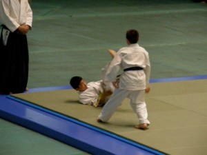 Ray at 2008 All Japan Aikido Demonstration