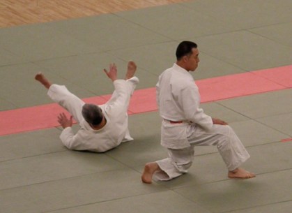 12-judo Judo
