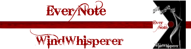 Small Media Ad - Ever Notepng