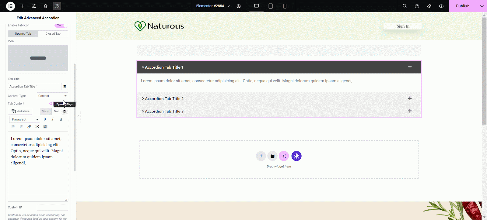 Advanced Accordion 5 Advanced Accordion