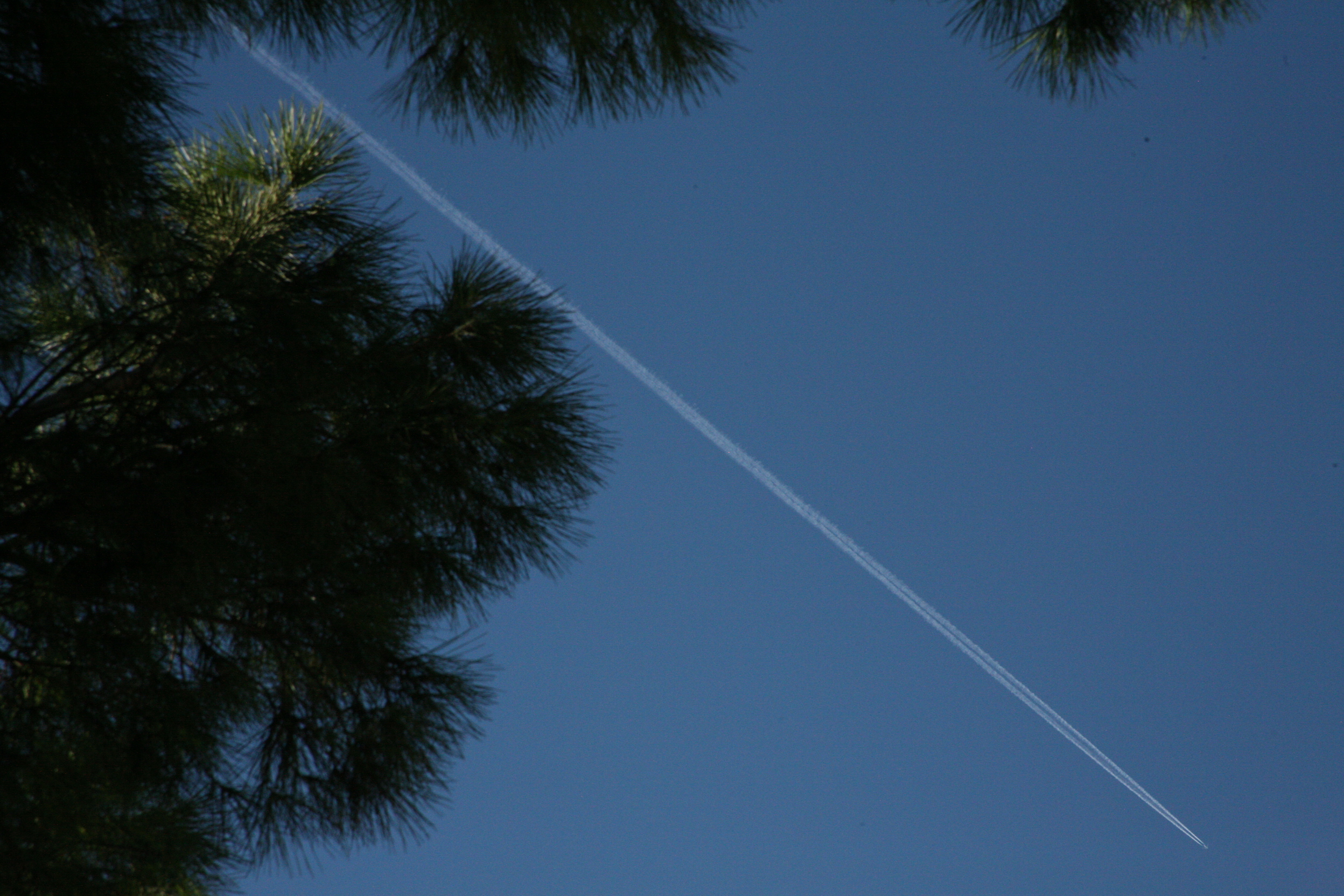 Etiliyle-Luca Molinari Photo-un cielo diverso