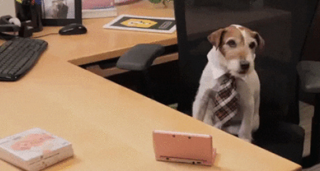 GIF: Moderner Arbeitsplatz