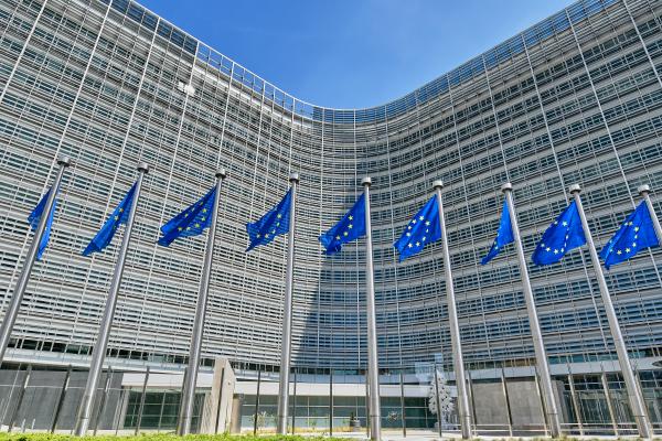 The Berlaymont Building and European Flags