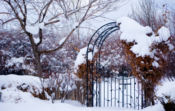 snowy iron gate