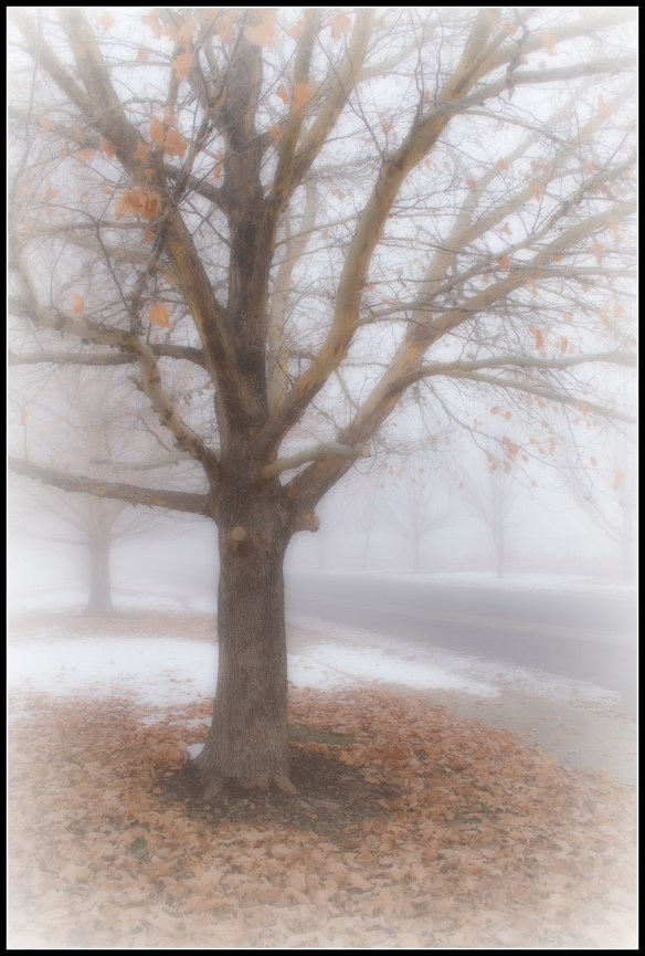 autumnwintermix