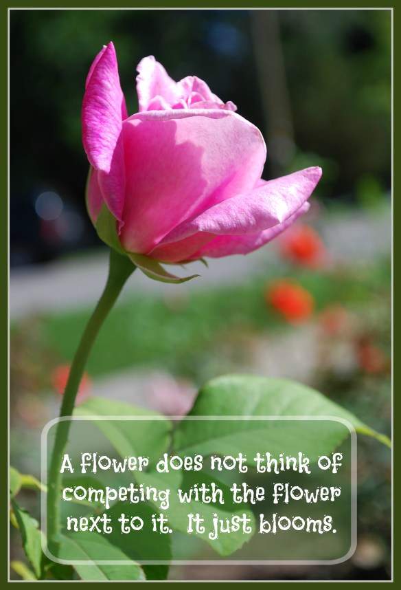 competing flower