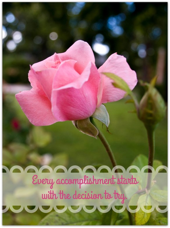 hurricanrose1