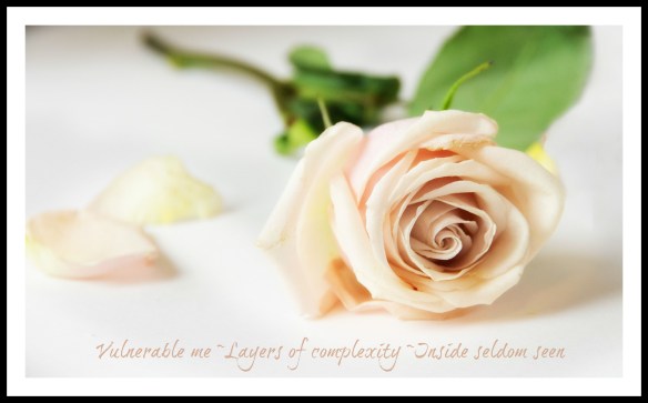rosehaiku