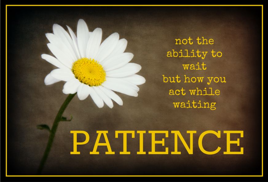 daisyquote