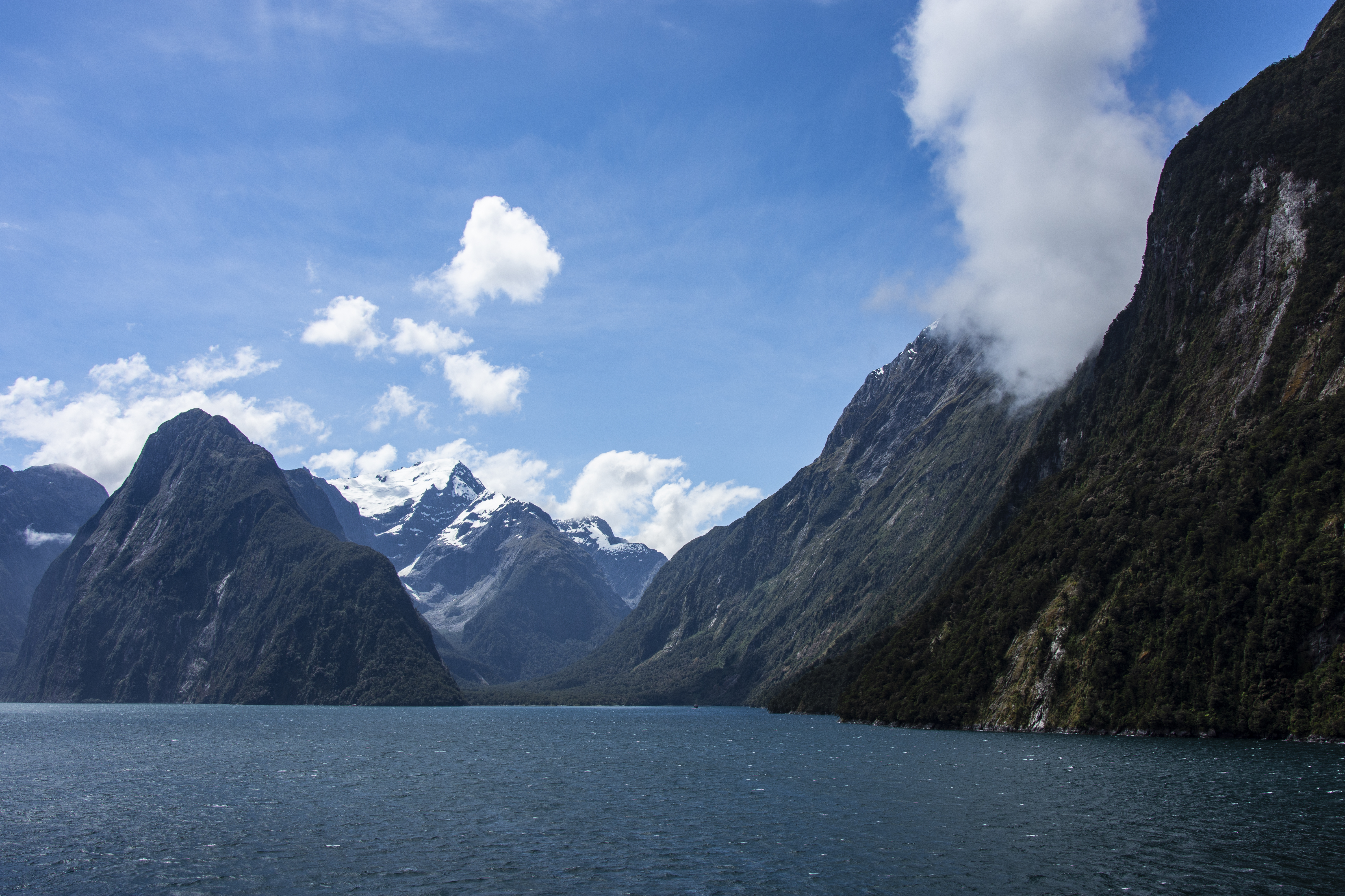 NZfjord.jpg