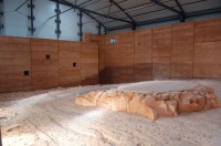 The Dinosaur tracks at Lark Quarry (click to enlarge) Dinosaur tracks at Lark Quarry