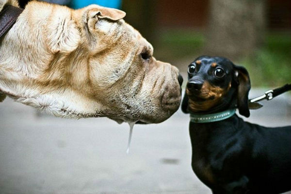 Oh my goodness! Oh my goodness!
