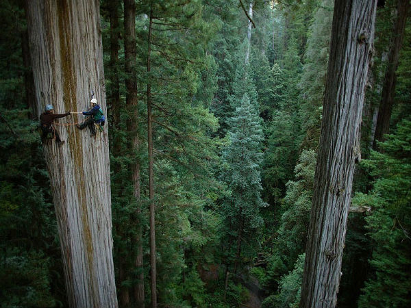 Climbing high Climbing high