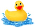 rubber duckie