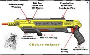 a-salt-rifle