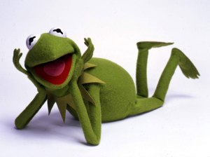 Kermit the muppets