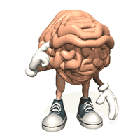 brain