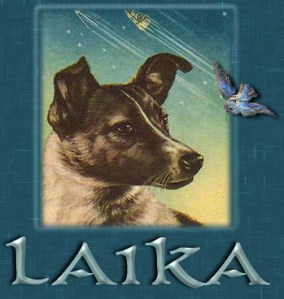 laikalogo