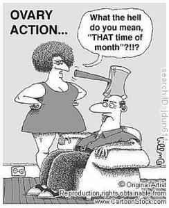 women's menstrual cycle